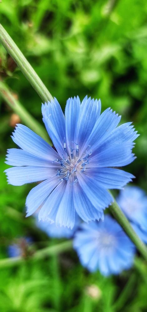 Photograph by Анна