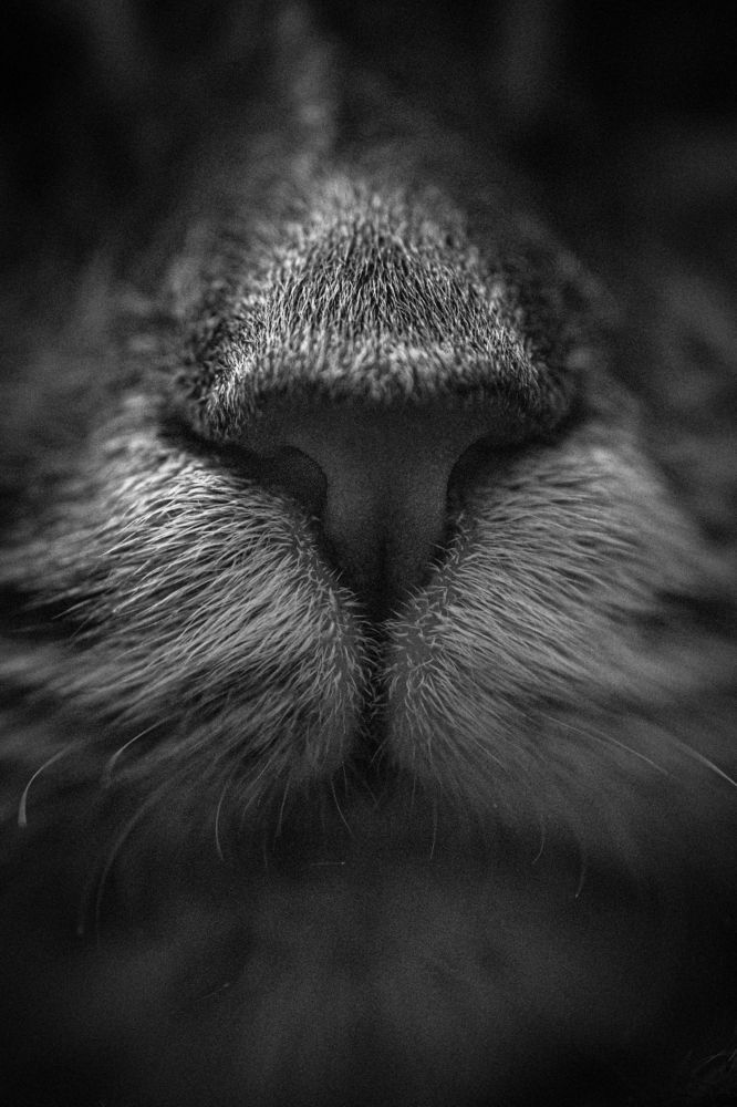 Photograph by 