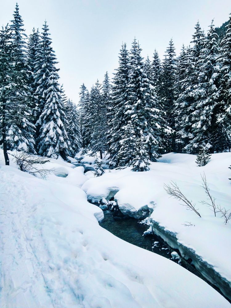 Photograph by Александр Дмитриев