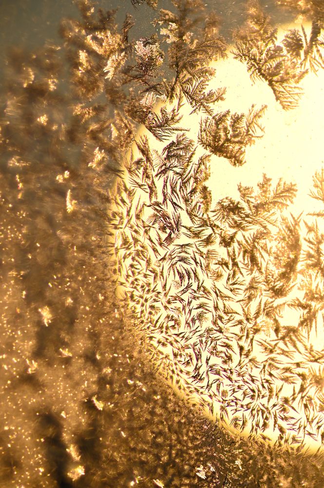 Photograph by Сергей Вальков