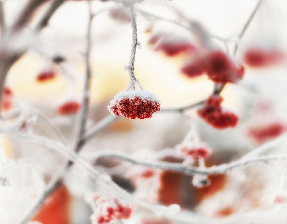 Фотография автора Наталья Новикова