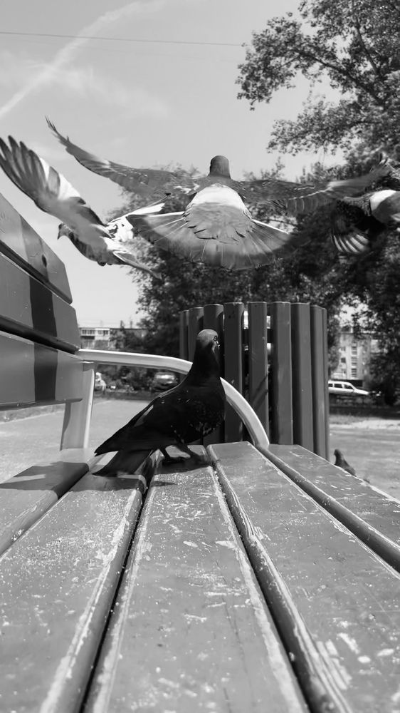 Фотография автора Анна Роганова