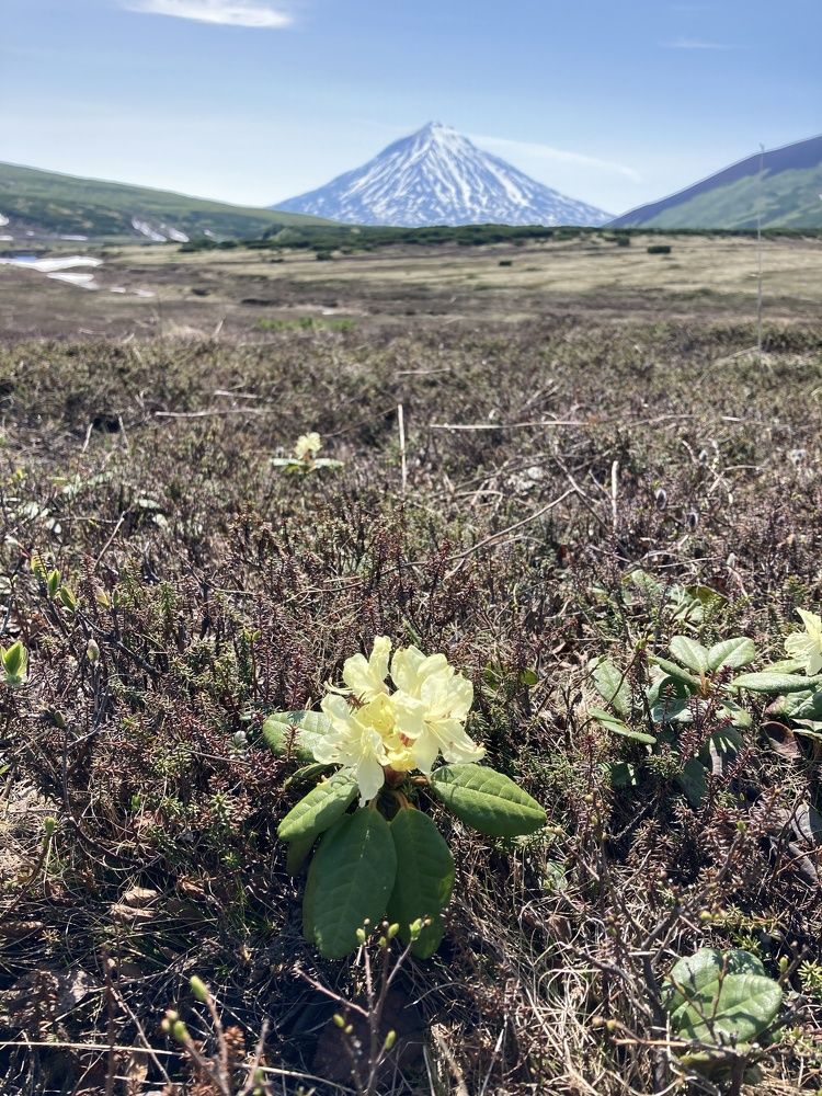 Photograph by Sergey berlizov