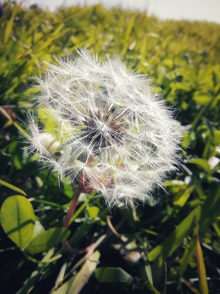 Photograph by Оксана Кабакова