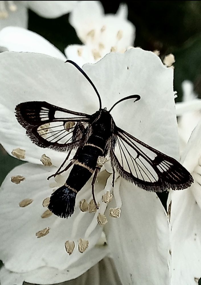 Photograph by Евгений Савулькин