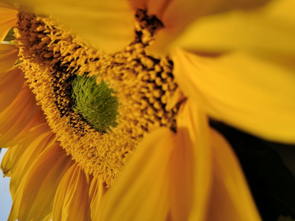 Photograph by Наталья Круглова