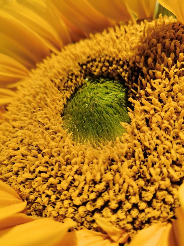 Photograph by Наталья Круглова