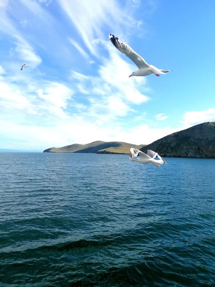 Photograph by Ольга Лех
