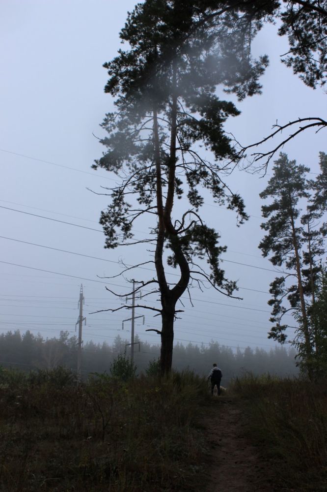 Photograph by Olga Александрова
