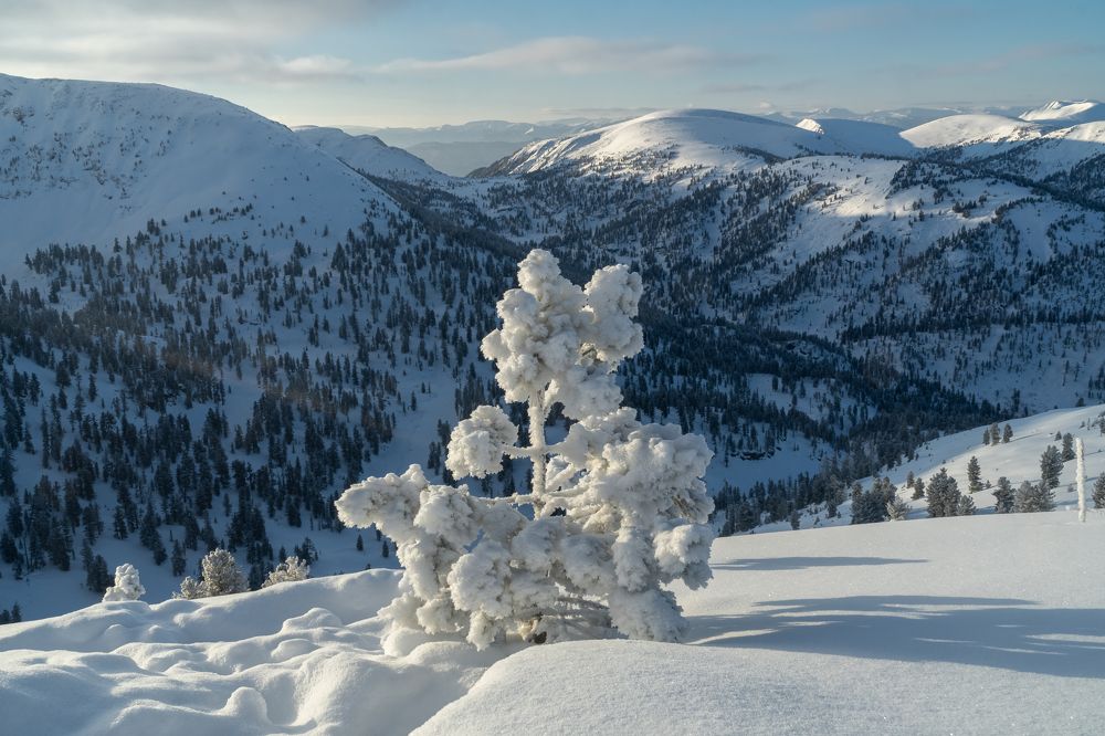 Фотография автора Михаил Тильпунов