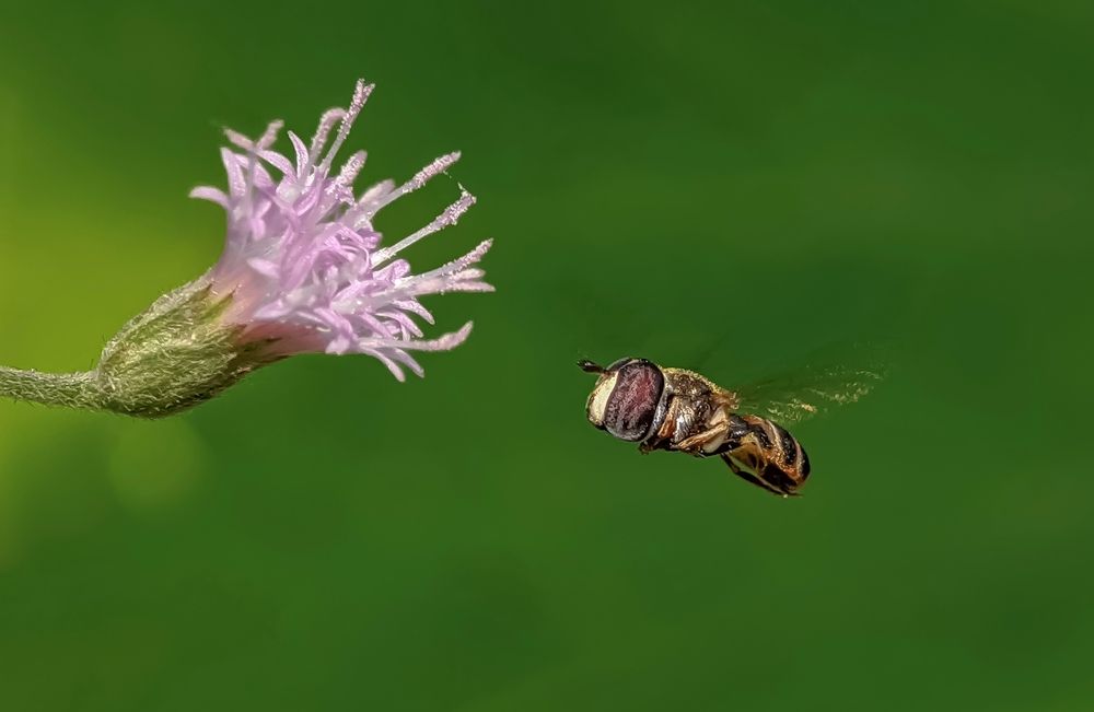 Moments of wanting to touch you...