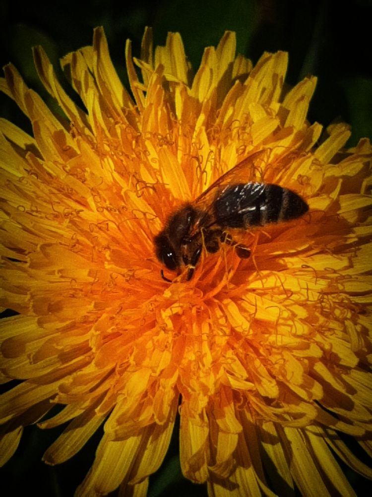 Photograph by Елизавета Карюченко