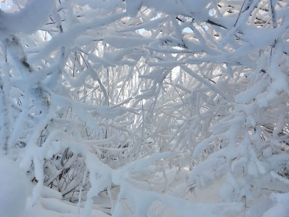 Photograph by Наталья Дубовкина