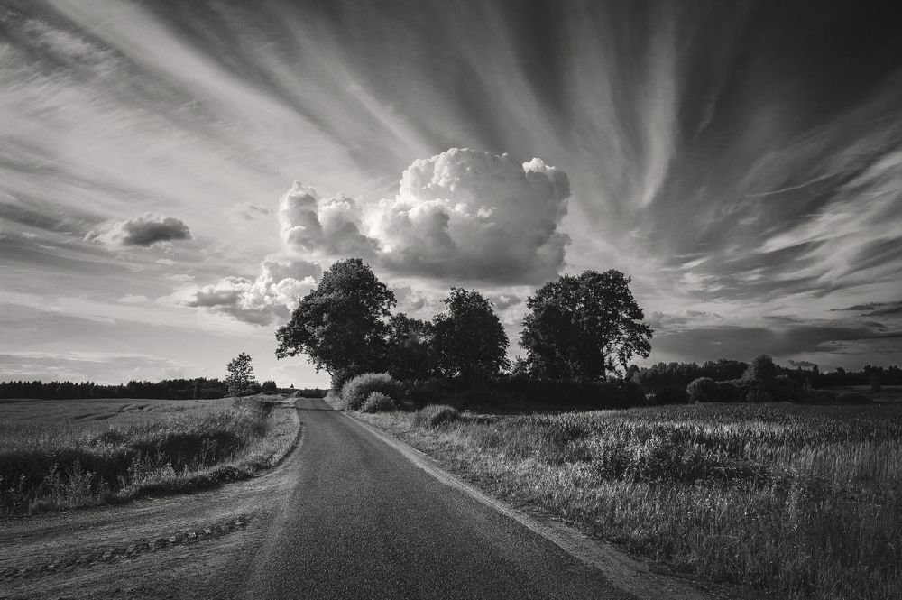 Photograph by Juris Buklovskis