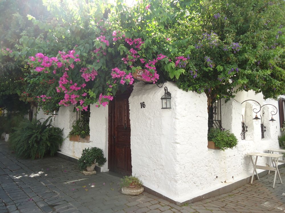 Photograph by Татьяна Клемба