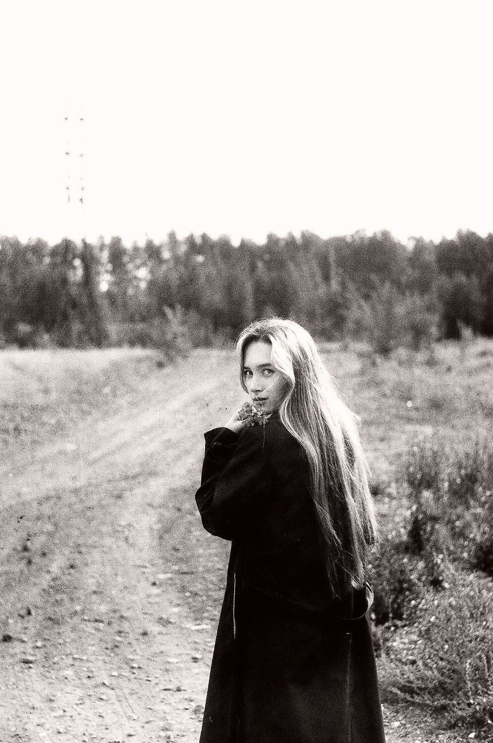 Photo #9536096