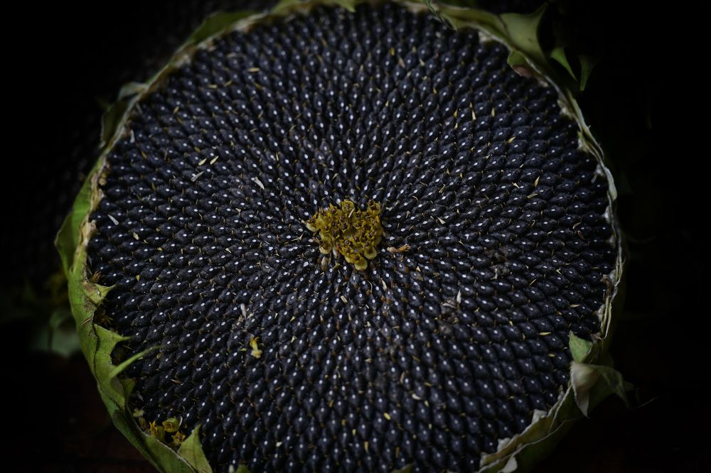 Photograph by Елена Ермакова