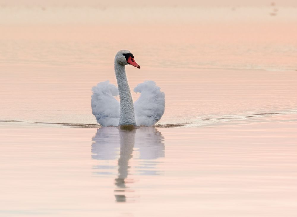 Photograph by Natalia Bolotenkova