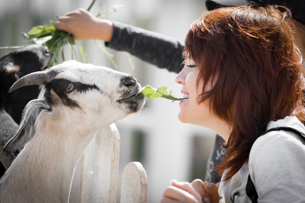 Photograph by Алексей Еремеев