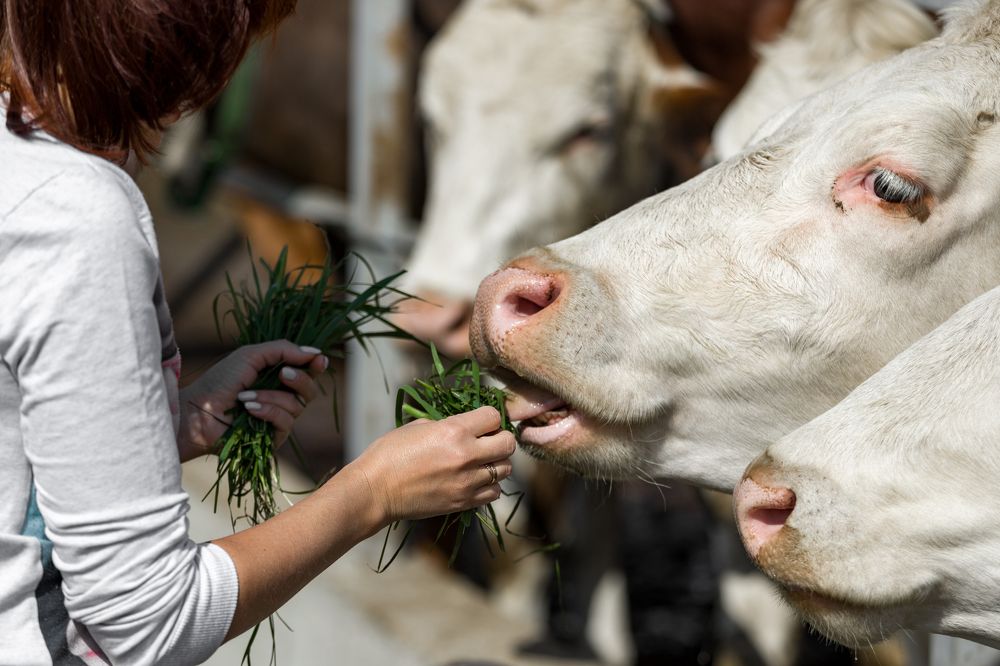 Photograph by Алексей Еремеев