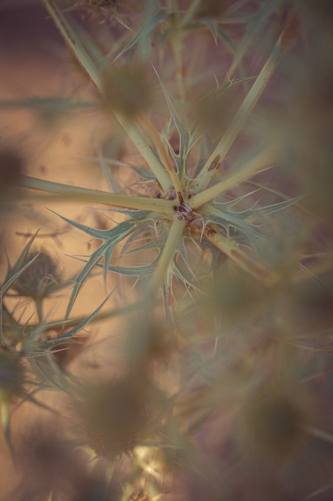 Photograph by 