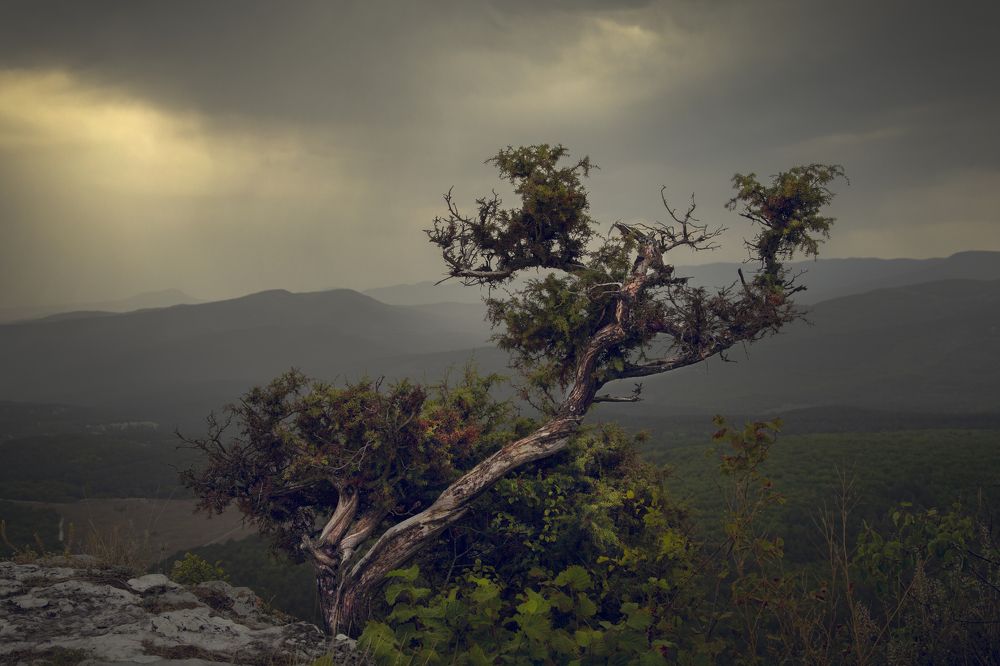 Photograph by Игорь Толкачев