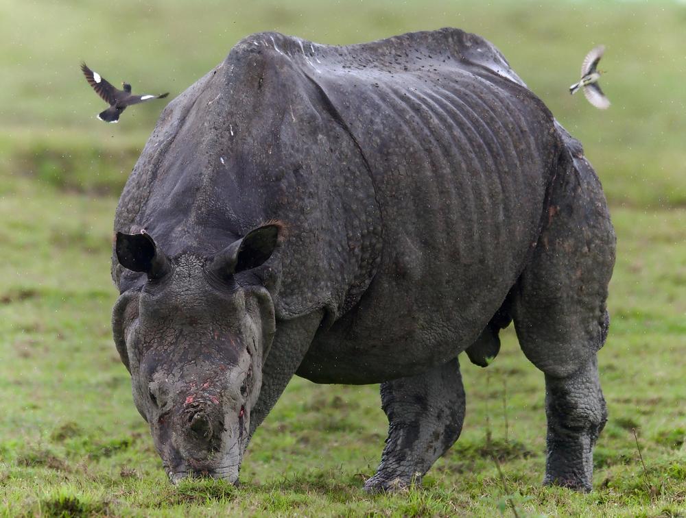 Photograph by Ranjith Kumar