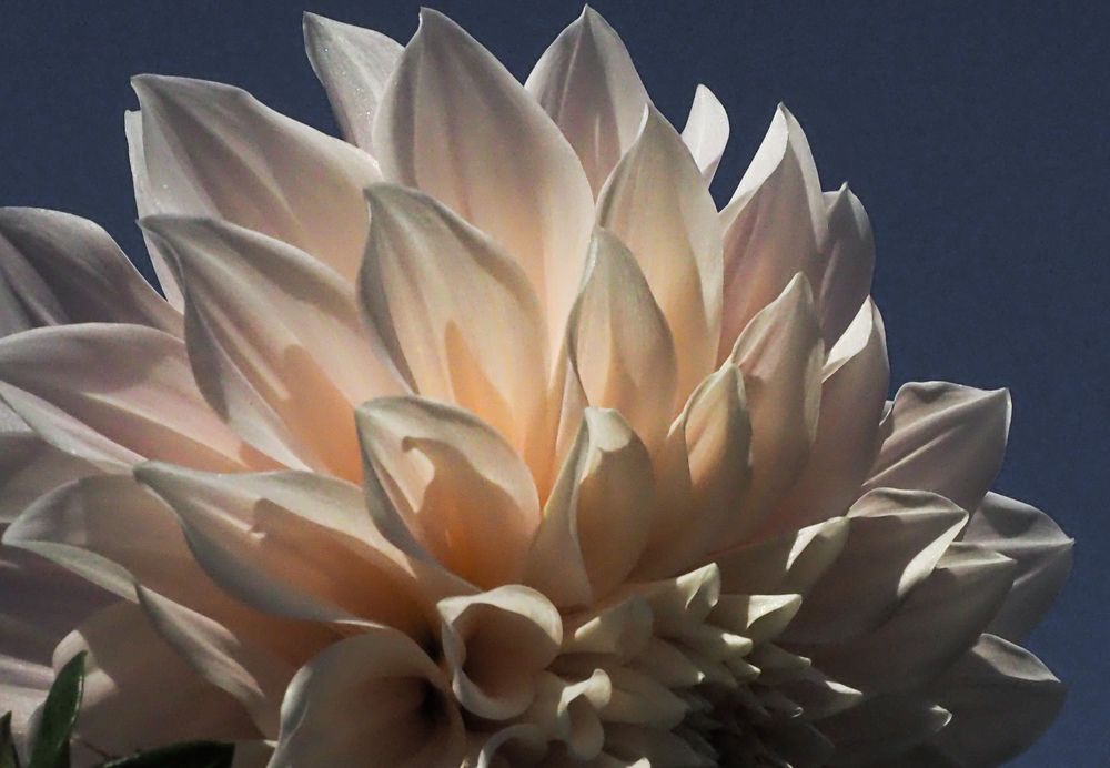 Photograph by Irina Ebral