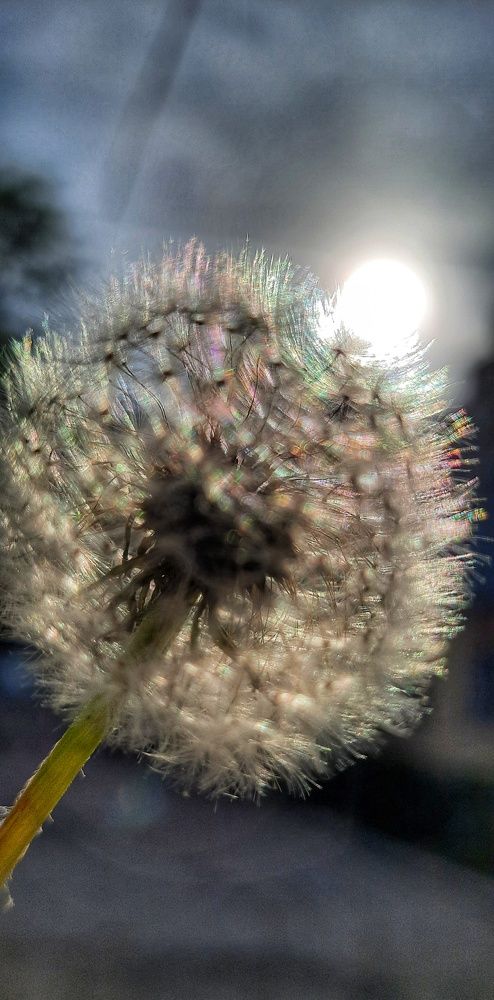 Photograph by Анна