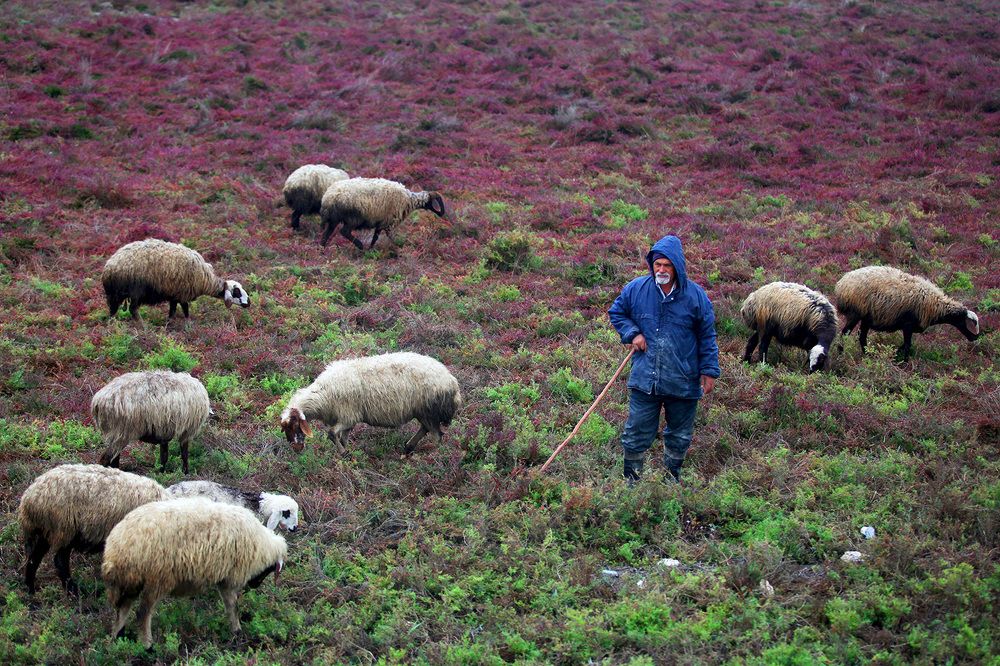 Photograph by mehdi karimi souderjani