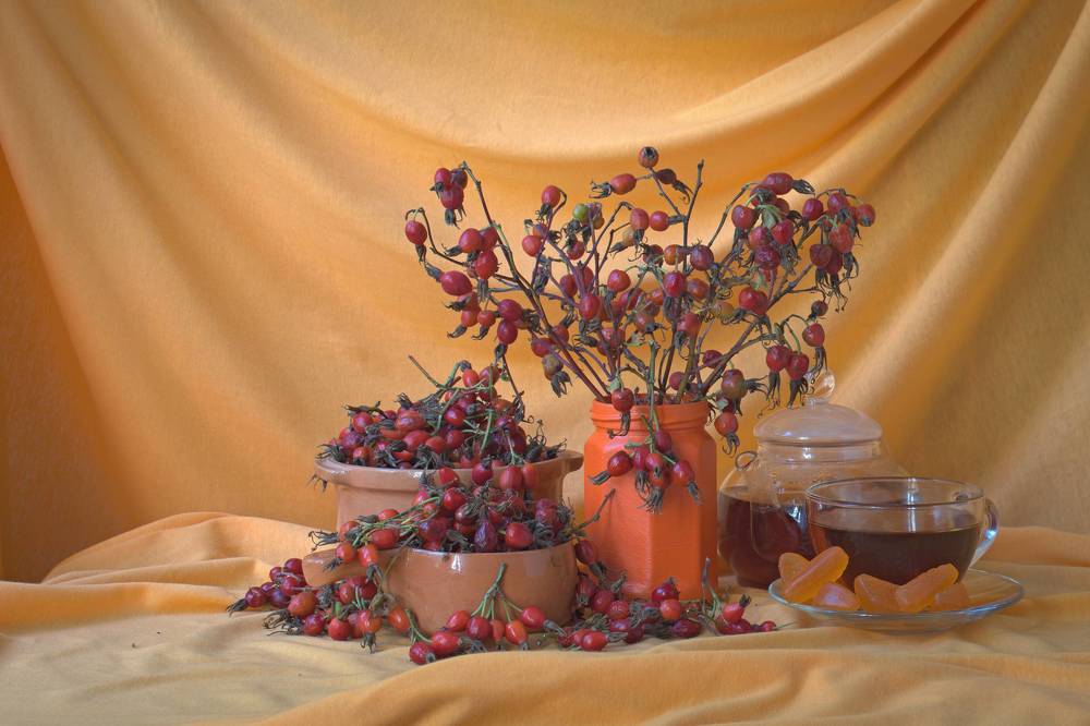 Photograph by Николай Чичерин