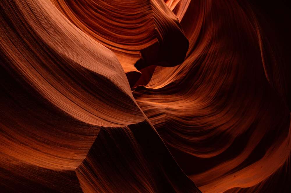 Фотография автора Csapody Adam