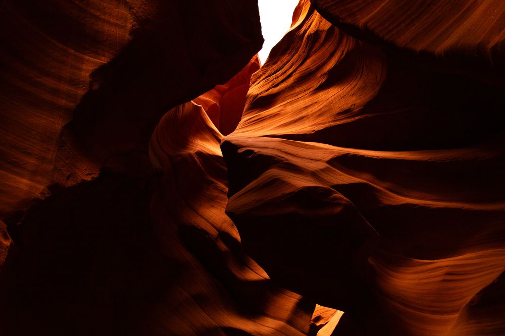 Фотография автора Csapody Adam