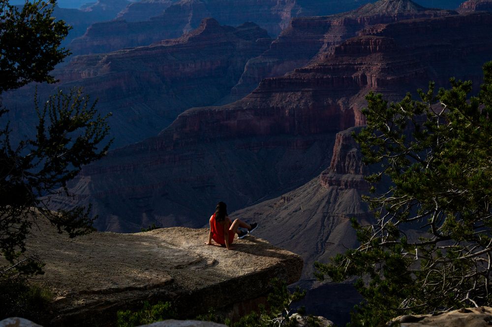 Фотография автора Csapody Adam