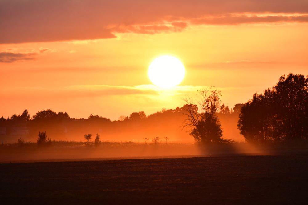 Photograph by Надежда
