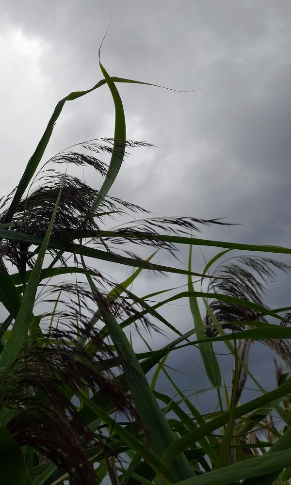 Photograph by Лидия