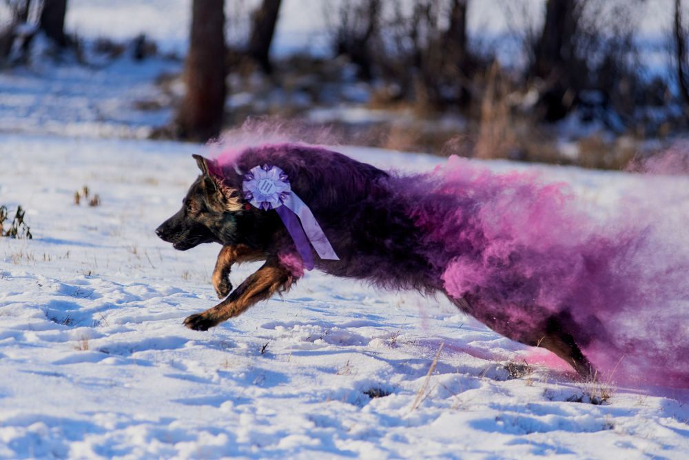 Photograph by Наталья