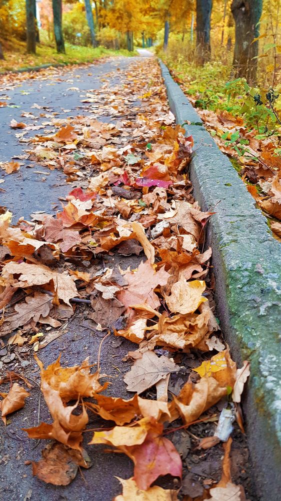 Photograph by Лариса Шевелёва