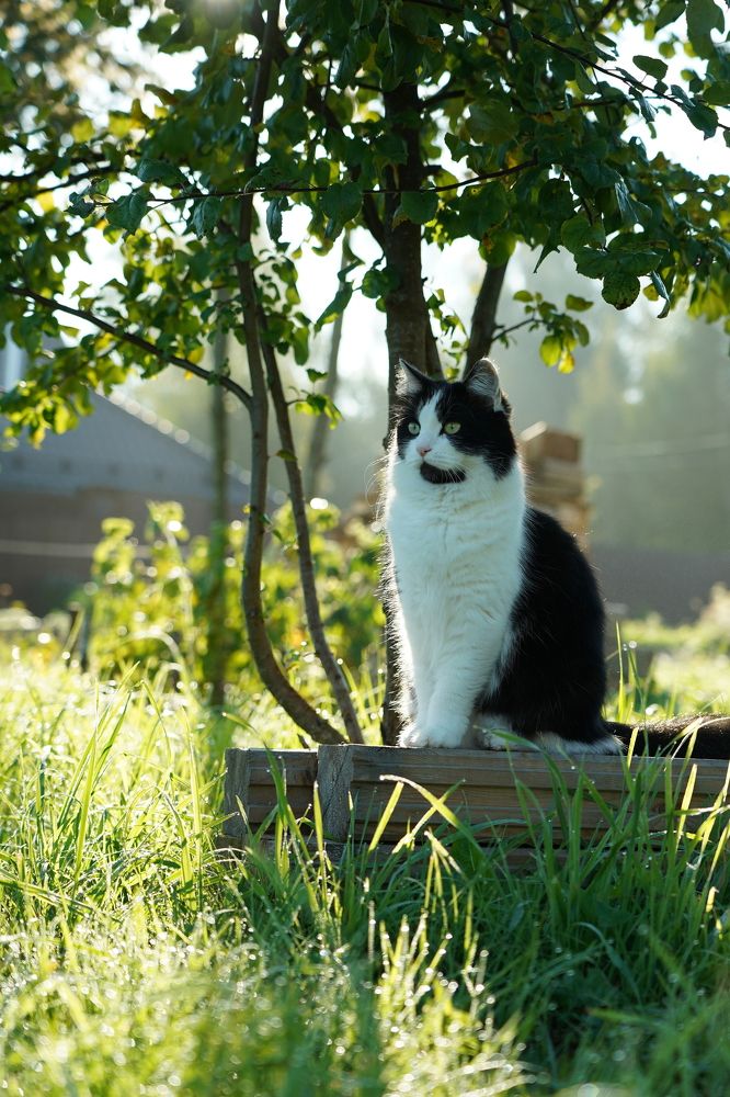 Photograph by Надежда Мытник