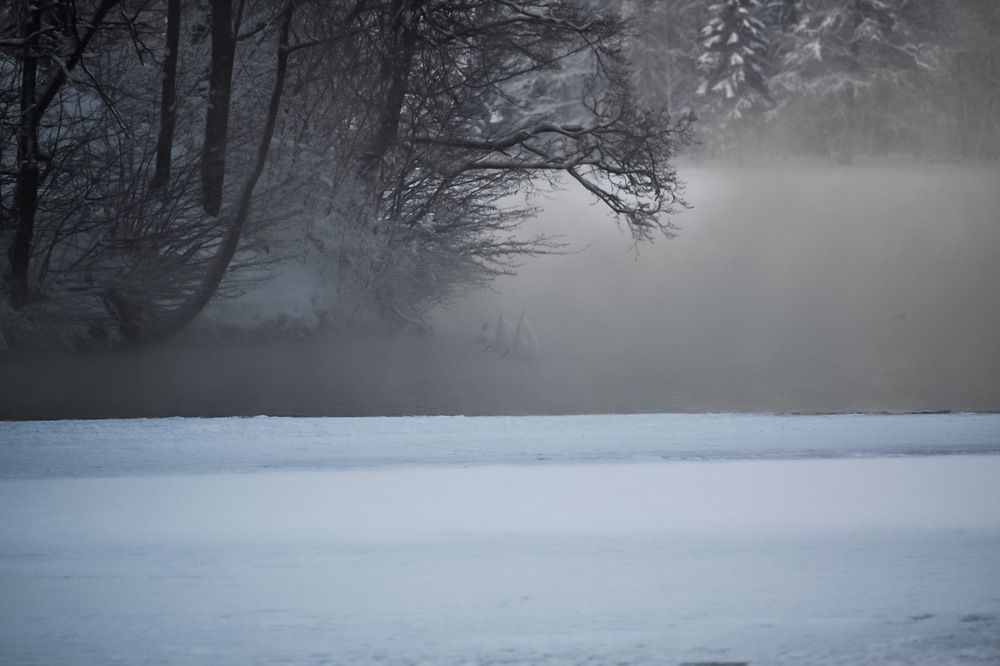 Photograph by Надежда