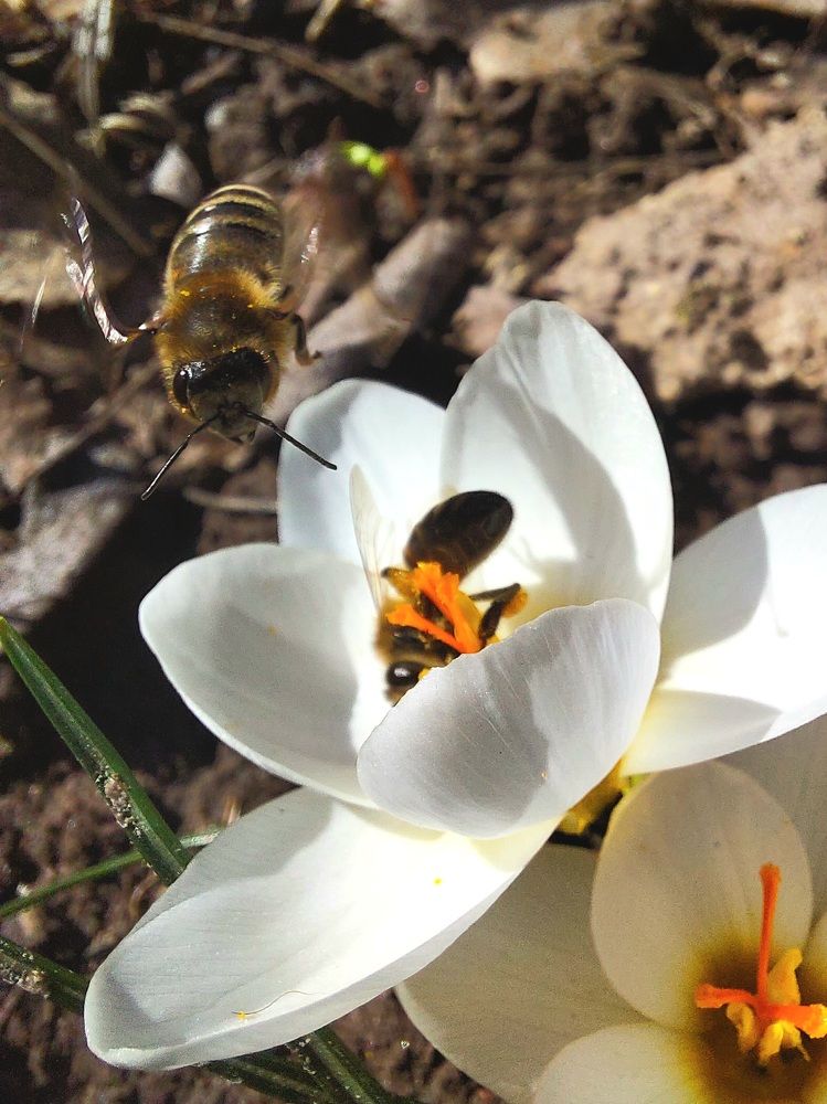 Photograph by Юлия Журавлёва