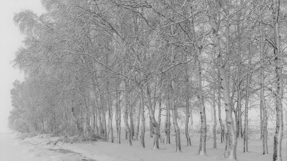 Photograph by константин