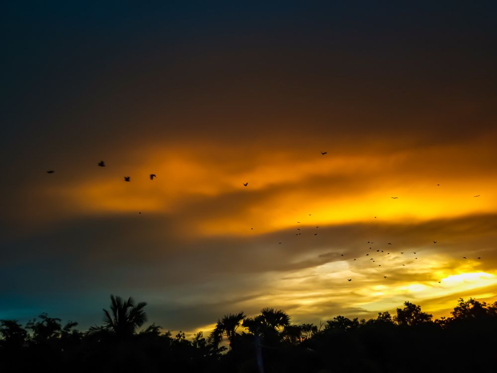 Photograph by Ankit Bhattacherjee