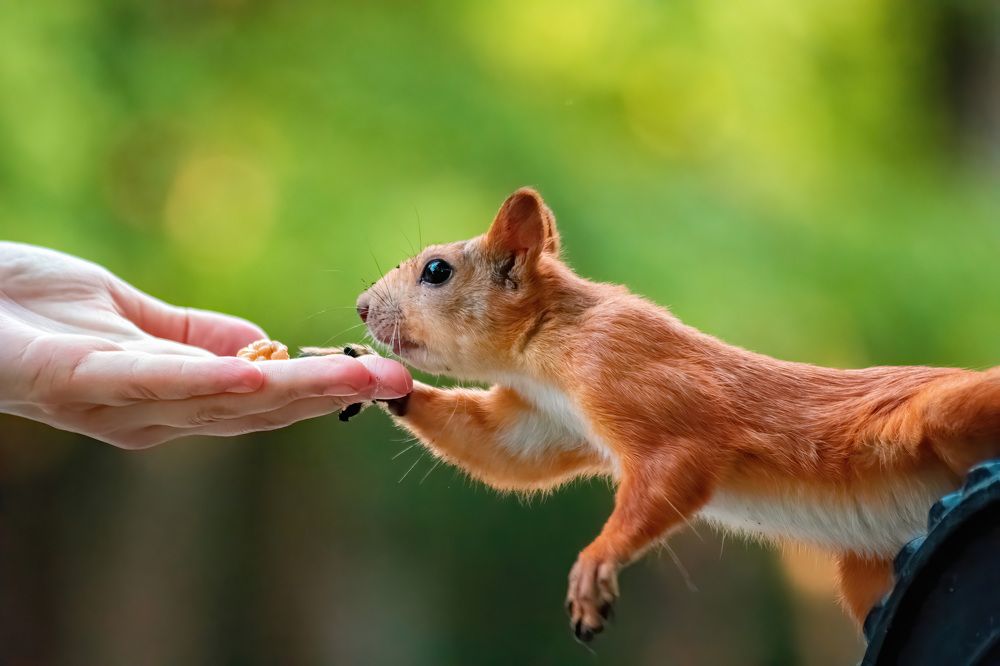 Photograph by Игорь Еремеев