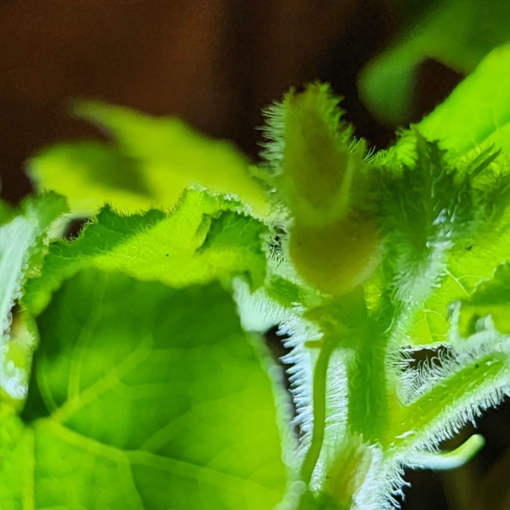 Photograph by Людмила Ковалева