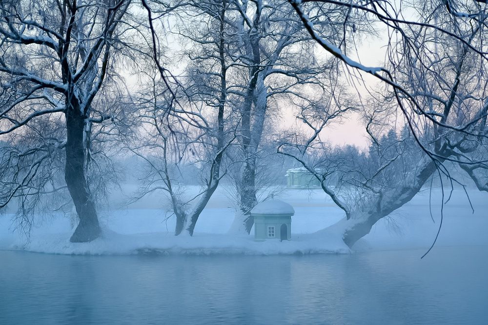 Photograph by Надежда