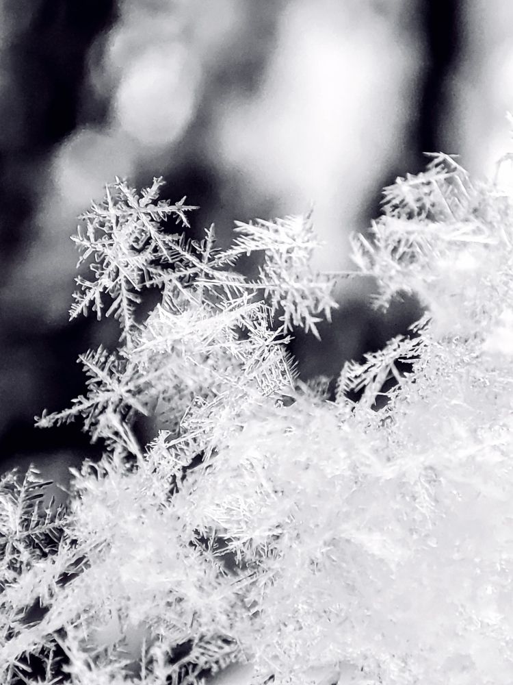 Photograph by Алёна Пшеленская