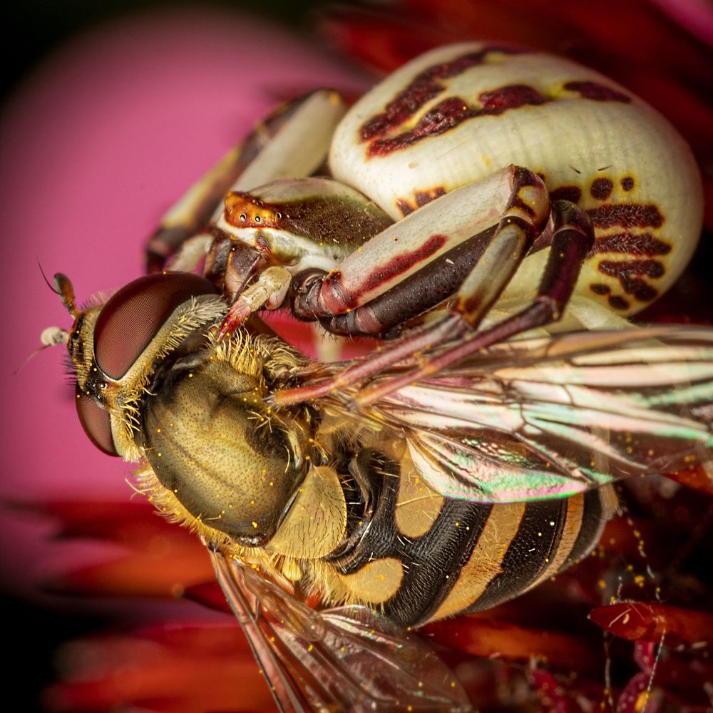 Photograph by Derek Moorse