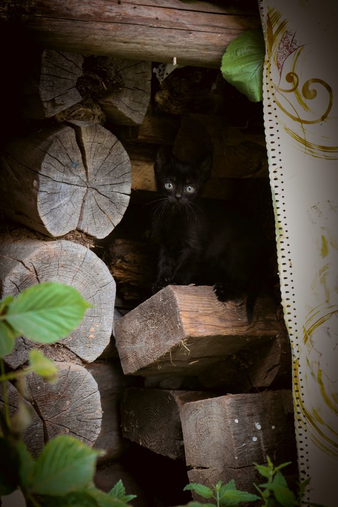 Photograph by Наталья Клячина