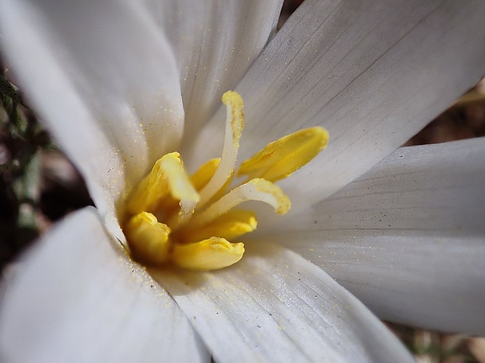 Photograph by mahdi roozbahani